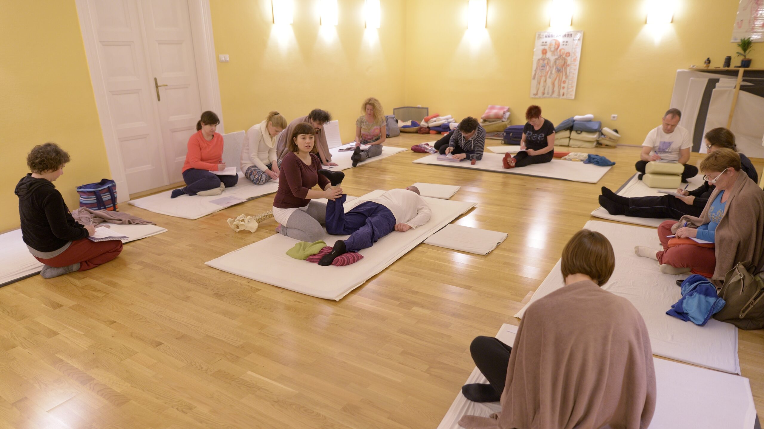 Shiatsu tanfolyam