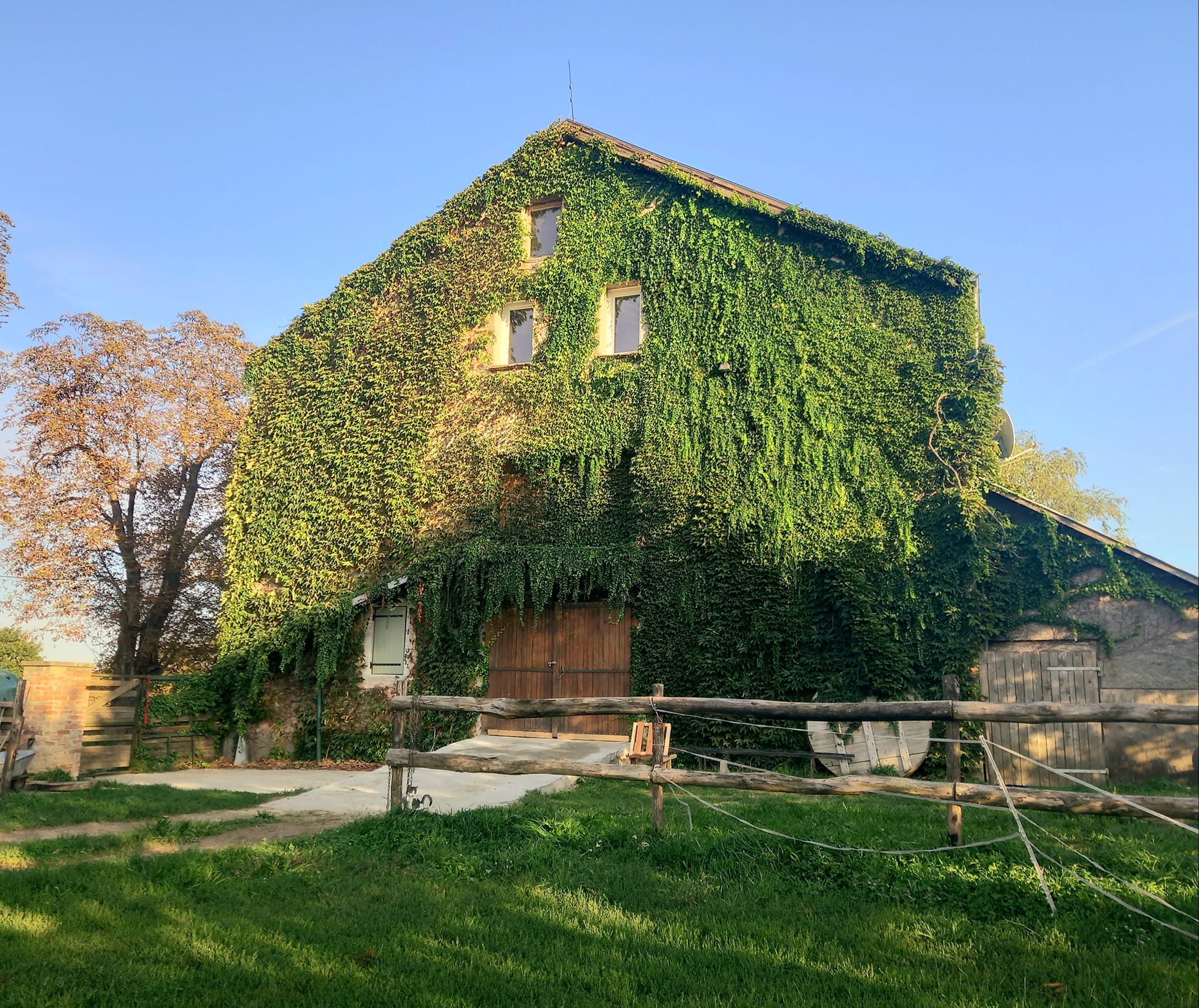 Shiatsu tábor - Öngyógyító elvonulás